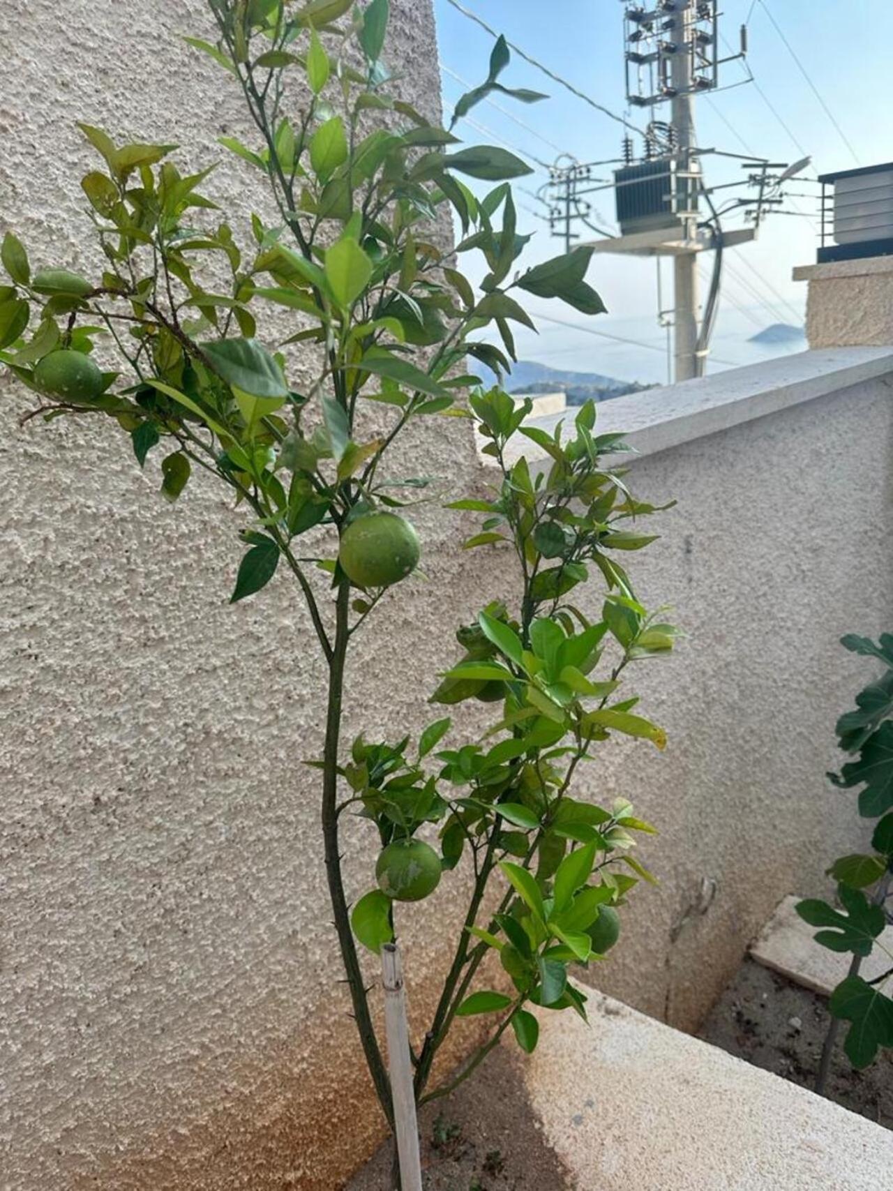 Kalkan Villa Beauty Honeymoon Kaş Eksteriør bilde